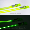 Collier de chien LED LED rechargeable à eau réglable USB